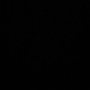 Meet your Posher, Antonio